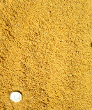Sable jaune.JPG