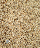 Sable 04 CL.JPG